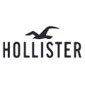 Hollister Logo