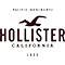 hollister_logo_klein