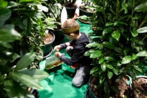 Lindt-Goldhasenlabyrinth