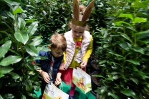 Lindt-Goldhasenlabyrinth