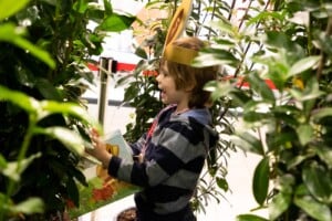 Lindt-Goldhasenlabyrinth