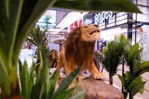 Big Five Ausstellung