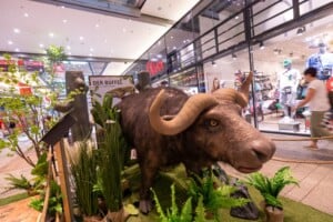 Big Five Ausstellung