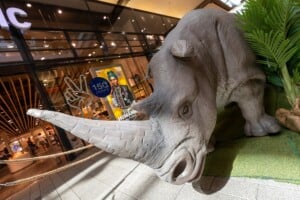 Big Five Ausstellung