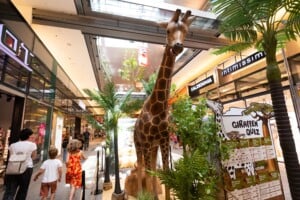 Big Five Ausstellung