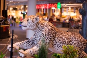 Big Five Ausstellung