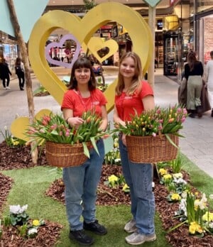 Blumen zum Valentinstag