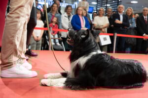 Shopping Friday mit Lukas Pratschker