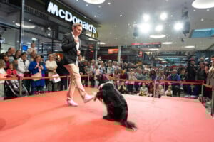 Shopping Friday mit Lukas Pratschker