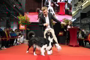 Shopping Friday mit Lukas Pratschker