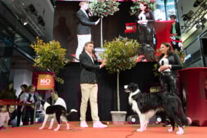 Shopping Friday mit Lukas Pratschker