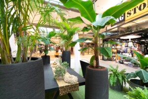 Gartenausstellung Edler 1