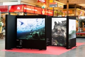 REd Bull Ausstellung 1