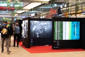 Red Bull Ausstellung 5