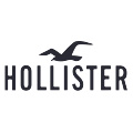 Hollister Logo